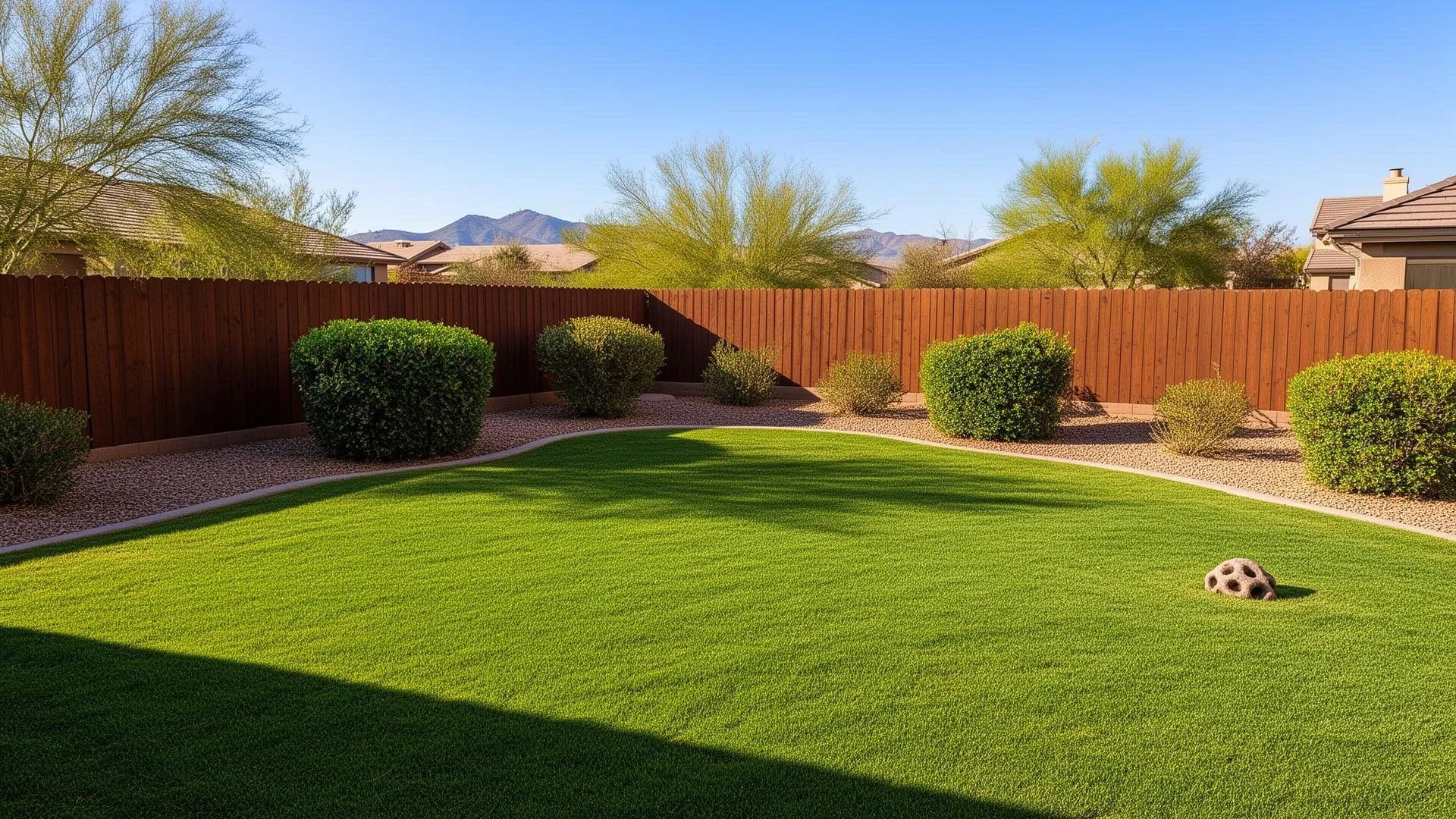 Phoenix backyard with clean grass - DooDoo Dude pet waste removal
